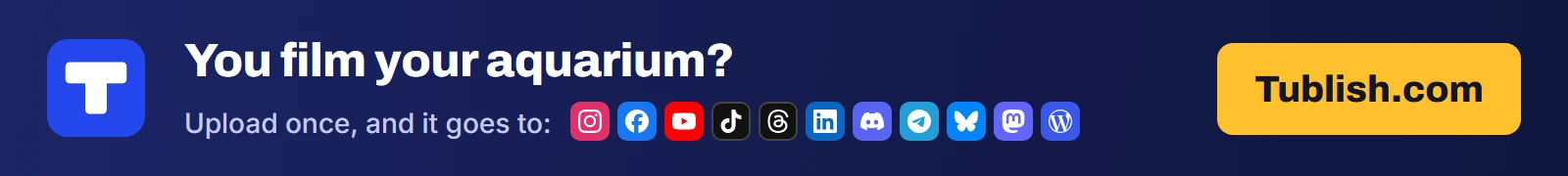 You film your aquarium? Upload once at Tublish.com, and it goes to Instagram, Facebook, YouTube, TikTok, Threads, LinkedIn, Discord, Telegram, Bluesky, Mastodon and WordPress.