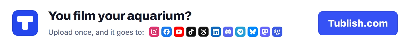 You film your aquarium? Upload once at Tublish.com, and it goes to Instagram, Facebook, YouTube, TikTok, Threads, LinkedIn, Discord, Telegram, Bluesky, Mastodon and WordPress.