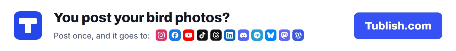 You post your bird photos? Post once at Tublish.com, and it goes to Instagram, Facebook, YouTube, TikTok, Threads, LinkedIn, Discord, Telegram, Bluesky, Mastodon and WordPress.